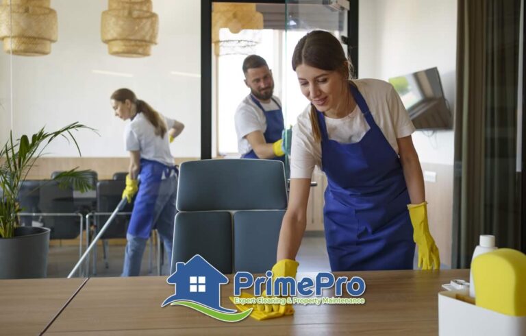 Prime Pro Solution 12